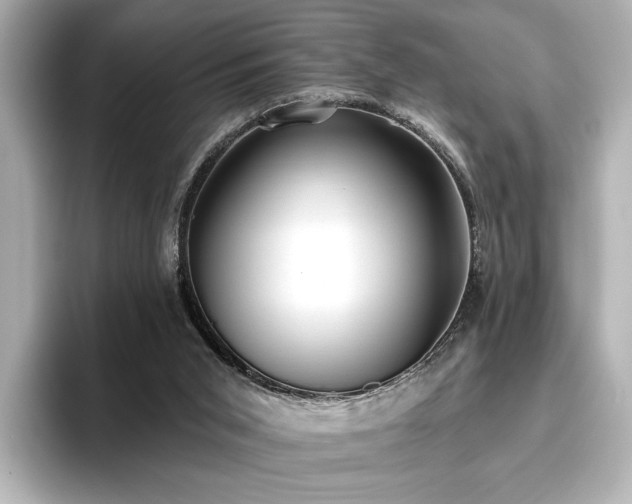X0000096450015200801241428