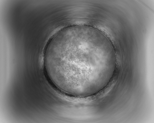 X0000096450016200801241428