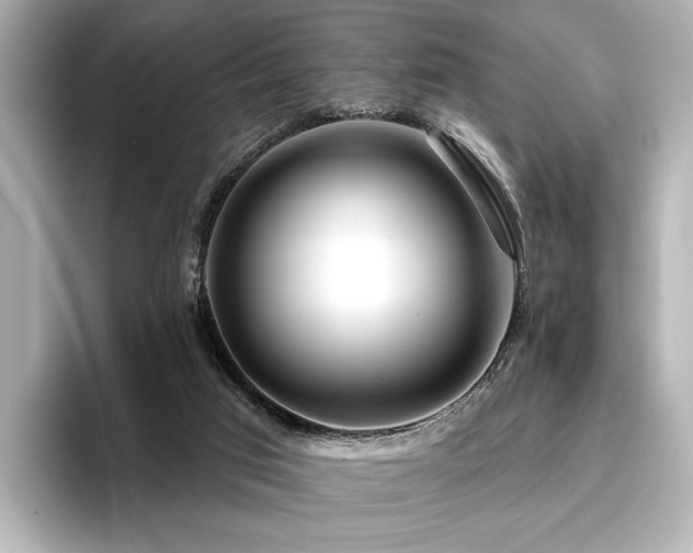 X0000096450017200801241428