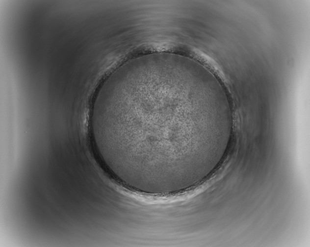 X0000096450018200801241428