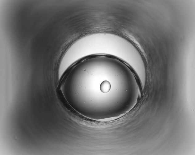 X0000096450019200801241428