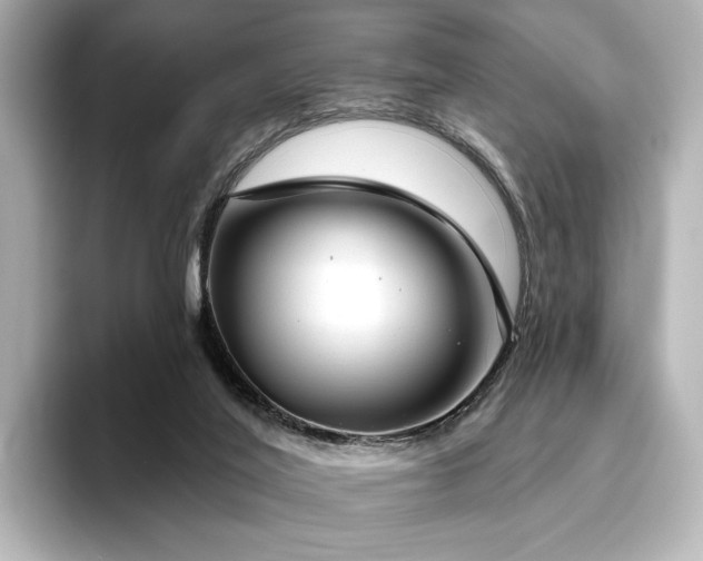 X0000096450020200801241428