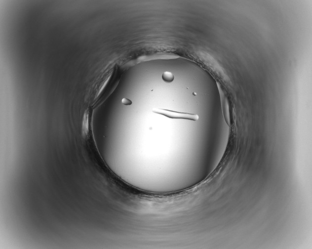 X0000096450021200801241428