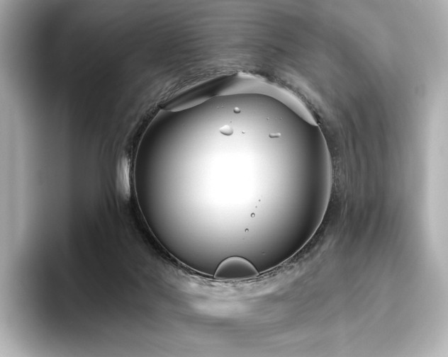 X0000096450022200801241428