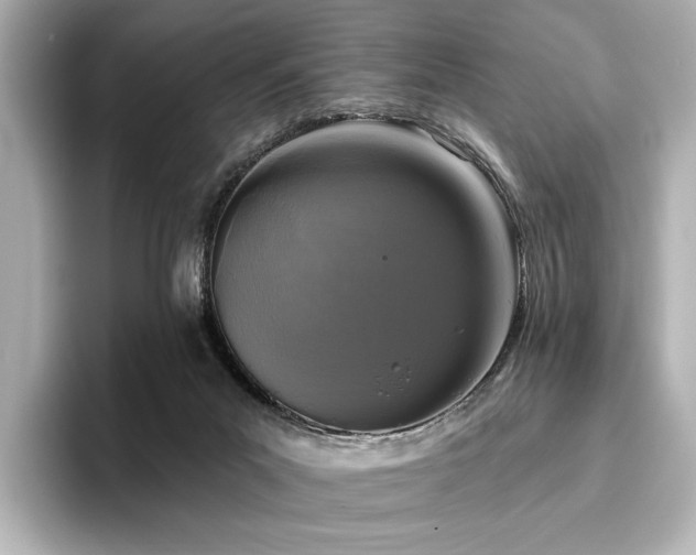 X0000096450023200801241428