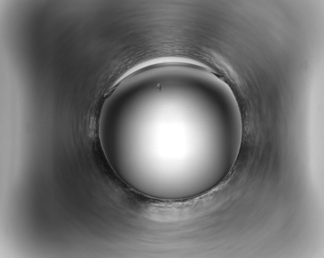 X0000096450025200801241428