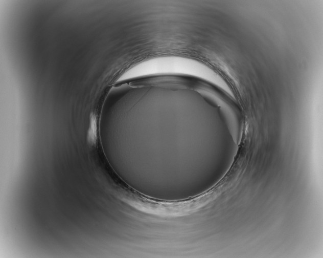 X0000096450027200801241428