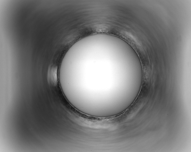 X0000096450028200801241428