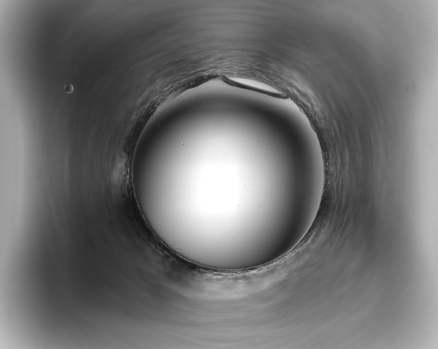 X0000096450029200801241428
