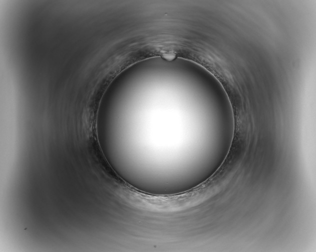 X0000096450030200801241428