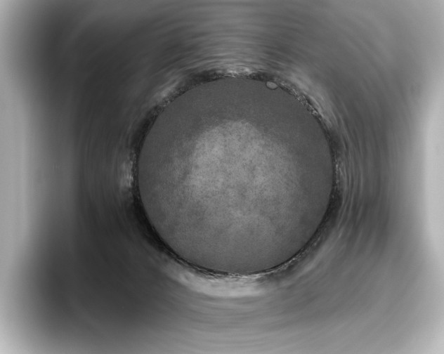 X0000096450032200801241428