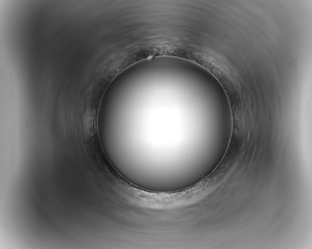X0000096450034200801241428