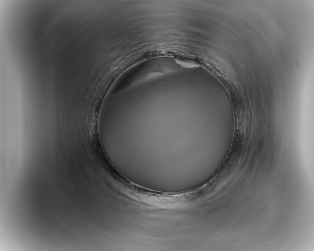 X0000096450036200801241428