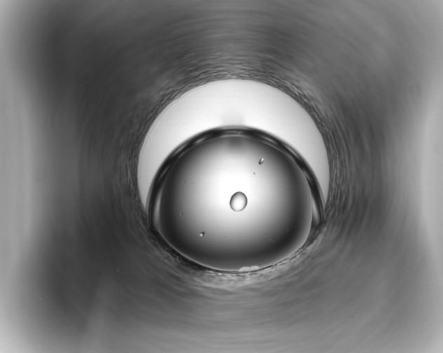 X0000096450037200801241427