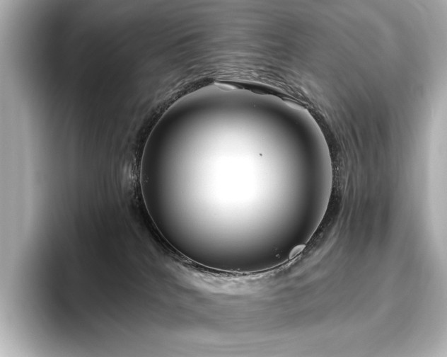 X0000096450040200801241427