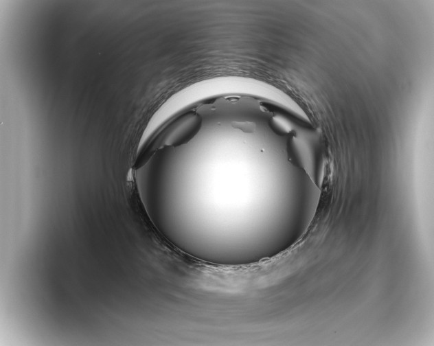 X0000096450041200801241427