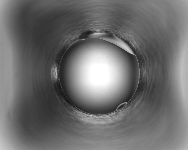 X0000096450042200801241427
