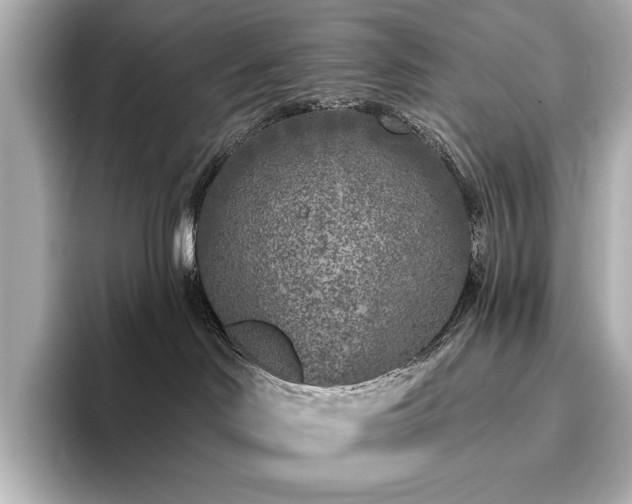 X0000096450046200801241427