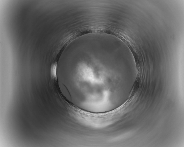 X0000096450047200801241427