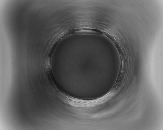 X0000096450048200801241427