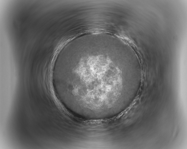 X0000096450049200801241427