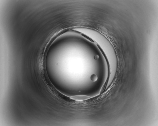 X0000096450050200801241427