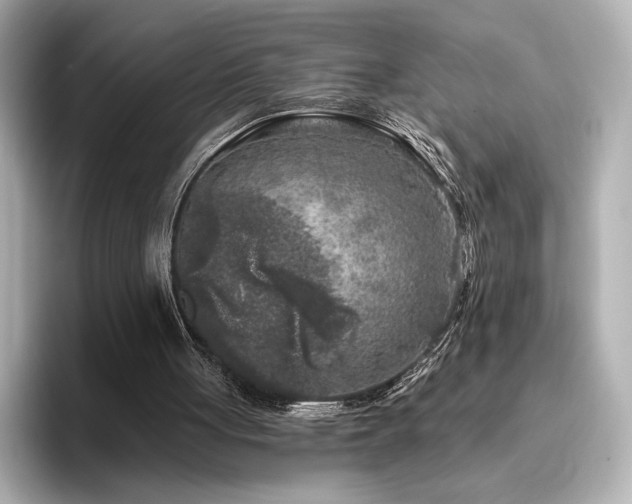 X0000096450051200801241427