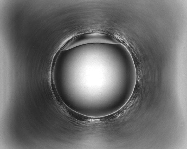 X0000096450052200801241427