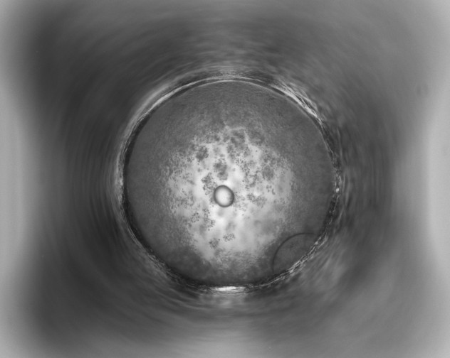 X0000096450053200801241427