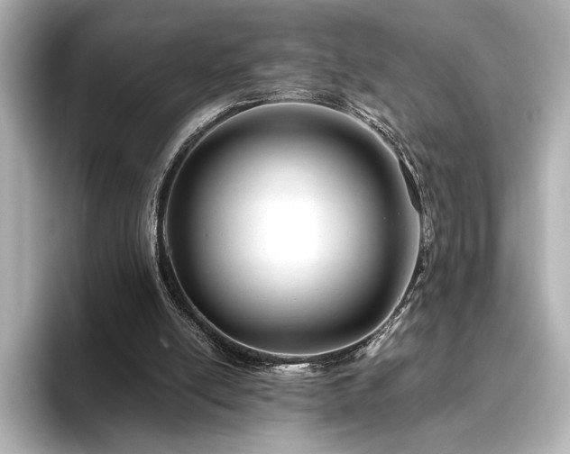 X0000096450054200801241427