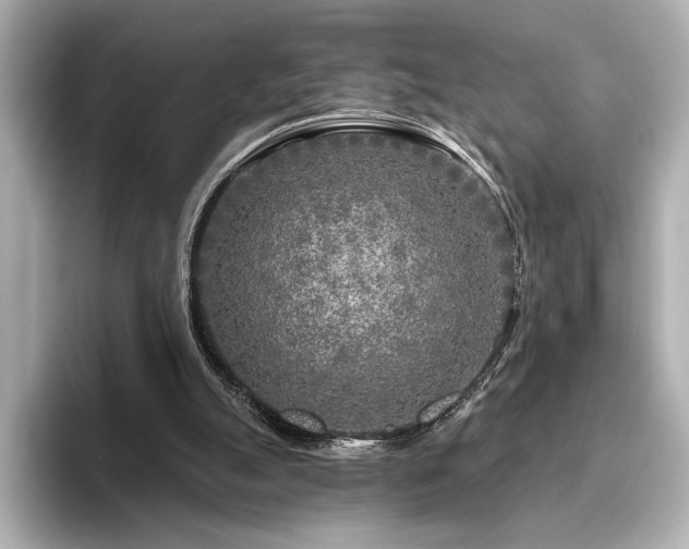 X0000096450055200801241427