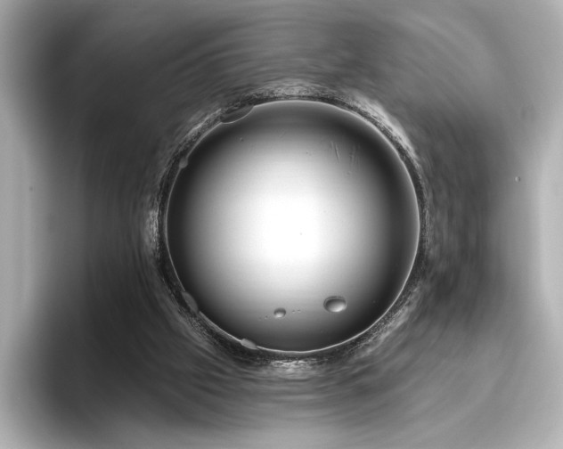 X0000096450057200801241427