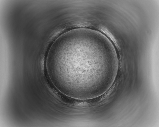 X0000096450058200801241427