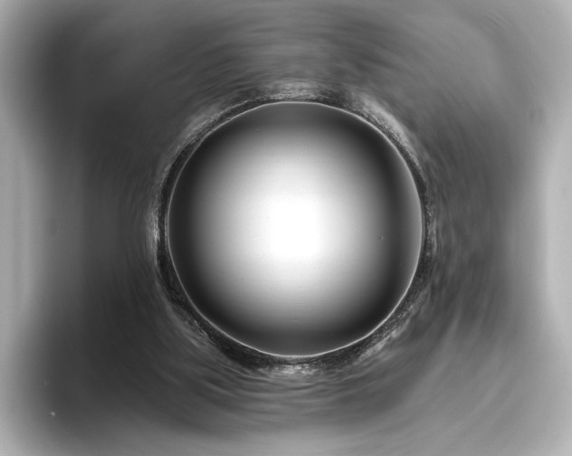X0000096450059200801241427