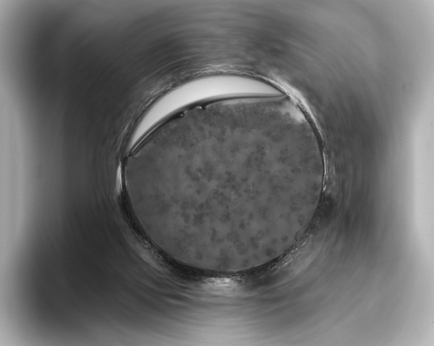 X0000096450061200801241427