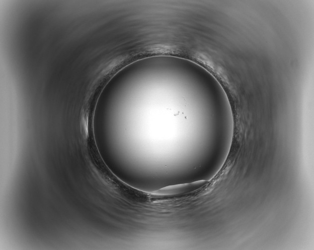 X0000096450062200801241427