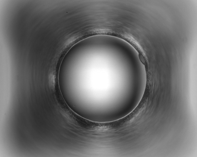 X0000096450063200801241427