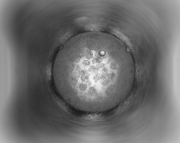 X0000096450065200801241427