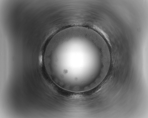 X0000096450067200801241427
