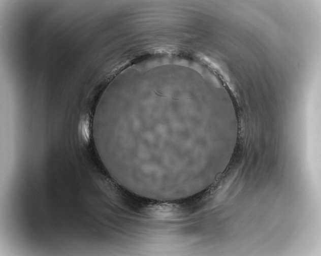 X0000096450069200801241427