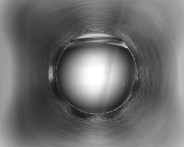 X0000096450075200801241427