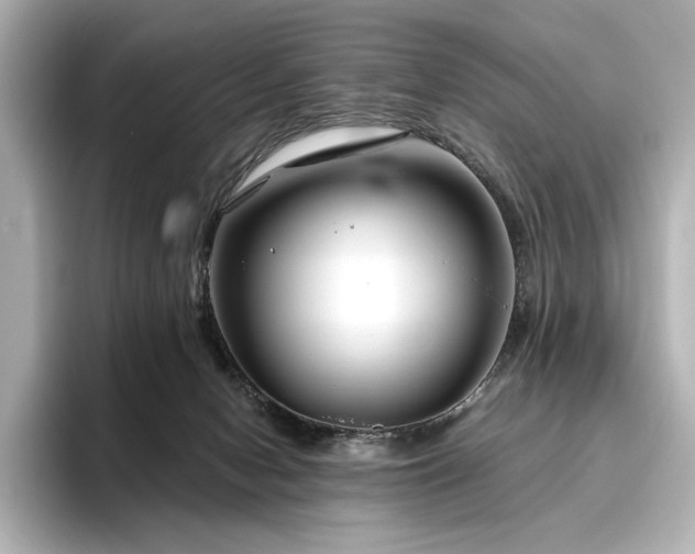 X0000096450078200801241427