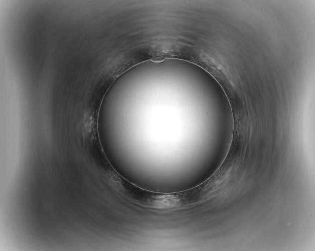 X0000096450087200801241427