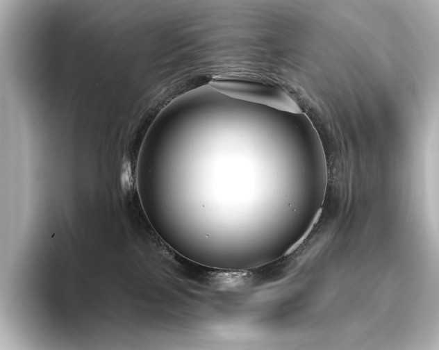 X0000096450089200801241427