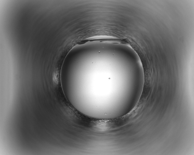 X0000096450090200801241427