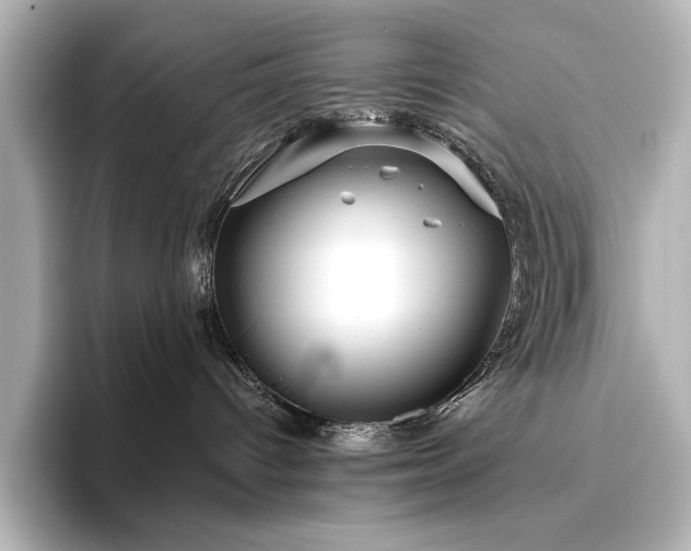 X0000096450096200801241427