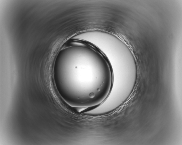 X0000096450097200801241427