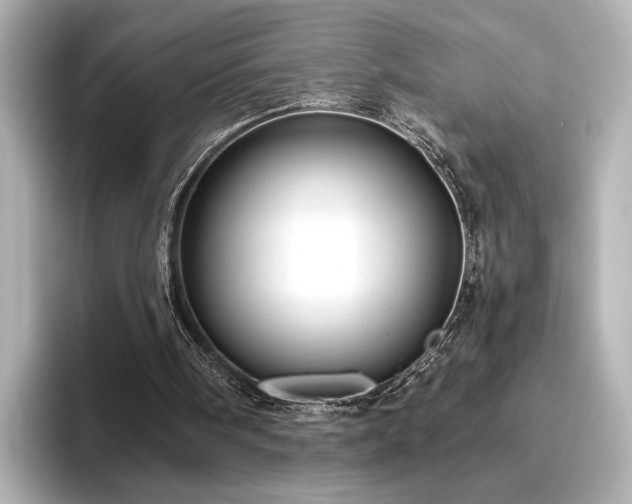 X0000096450098200801241427