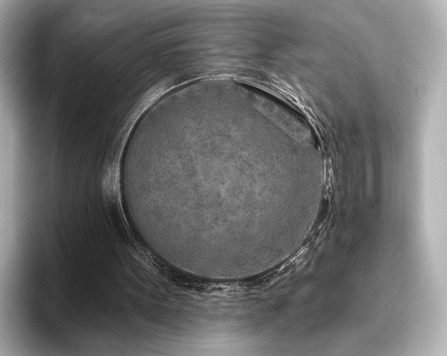 X0000096450099200801241427