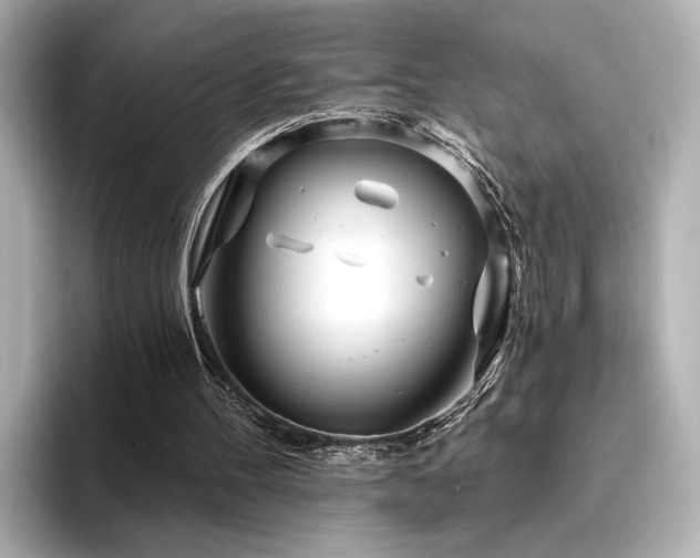 X0000096450100200801241427